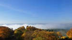 Burg Regenstein im Nebel.